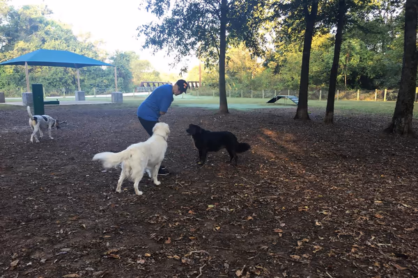 Freedom Run Dog Park photo 2